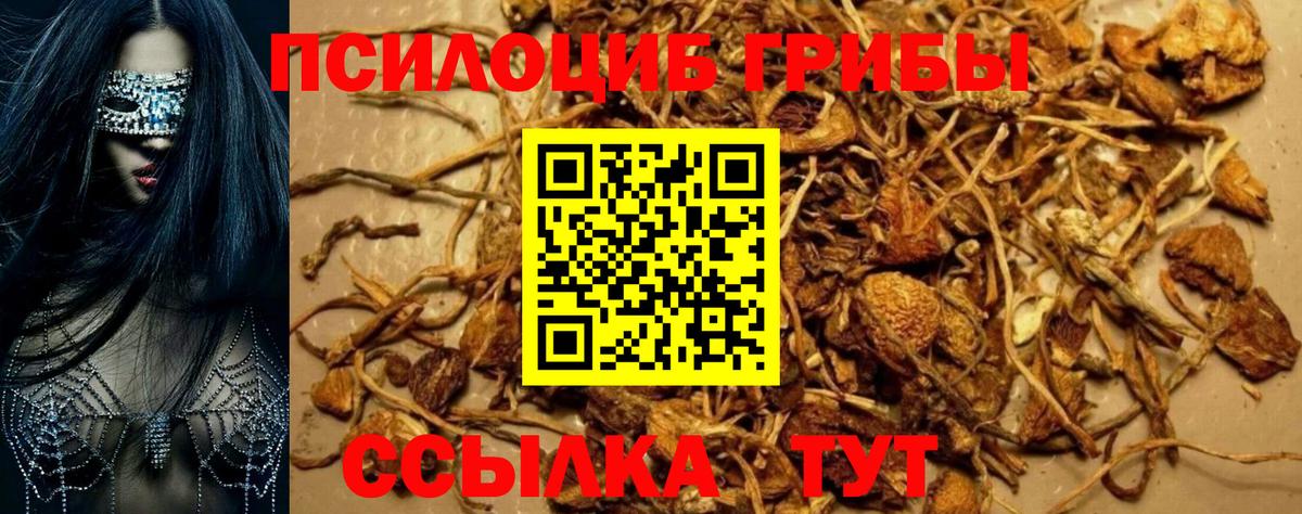 Донской  Галлюциногенные грибы Magic Shrooms  Галлюциногенные грибы Magic Shrooms  Вход с VPN 
